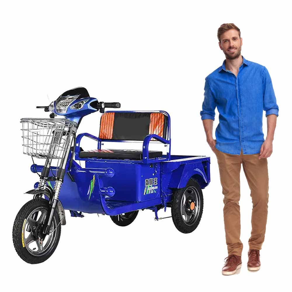 Electric Cargo Motorcycles Tricycle 1.2 Mtr 48V 20Ah Battery 800 Watt Motor and 30 Km Speed