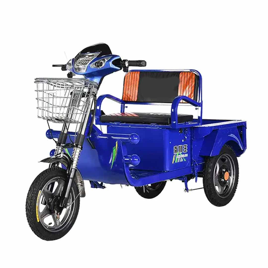 Electric Cargo Motorcycles Tricycle 1.2 Mtr 48V 20Ah Battery 800 Watt Motor and 30 Km Speed thumbnail 2