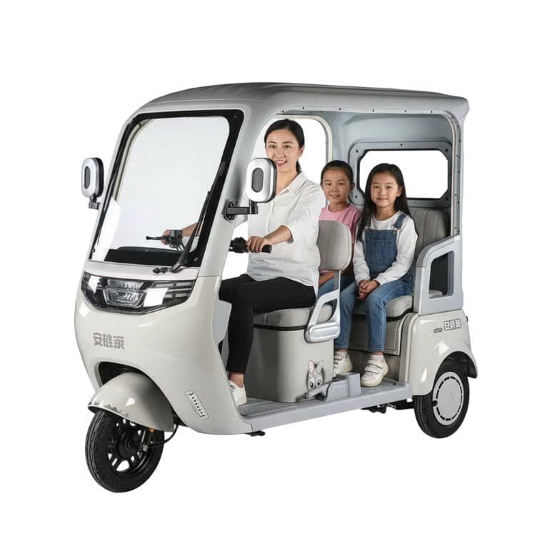 Premium 60 V Urban Roof Covered Back Electric Scooter Tricycle for 3 Passengers 2000W