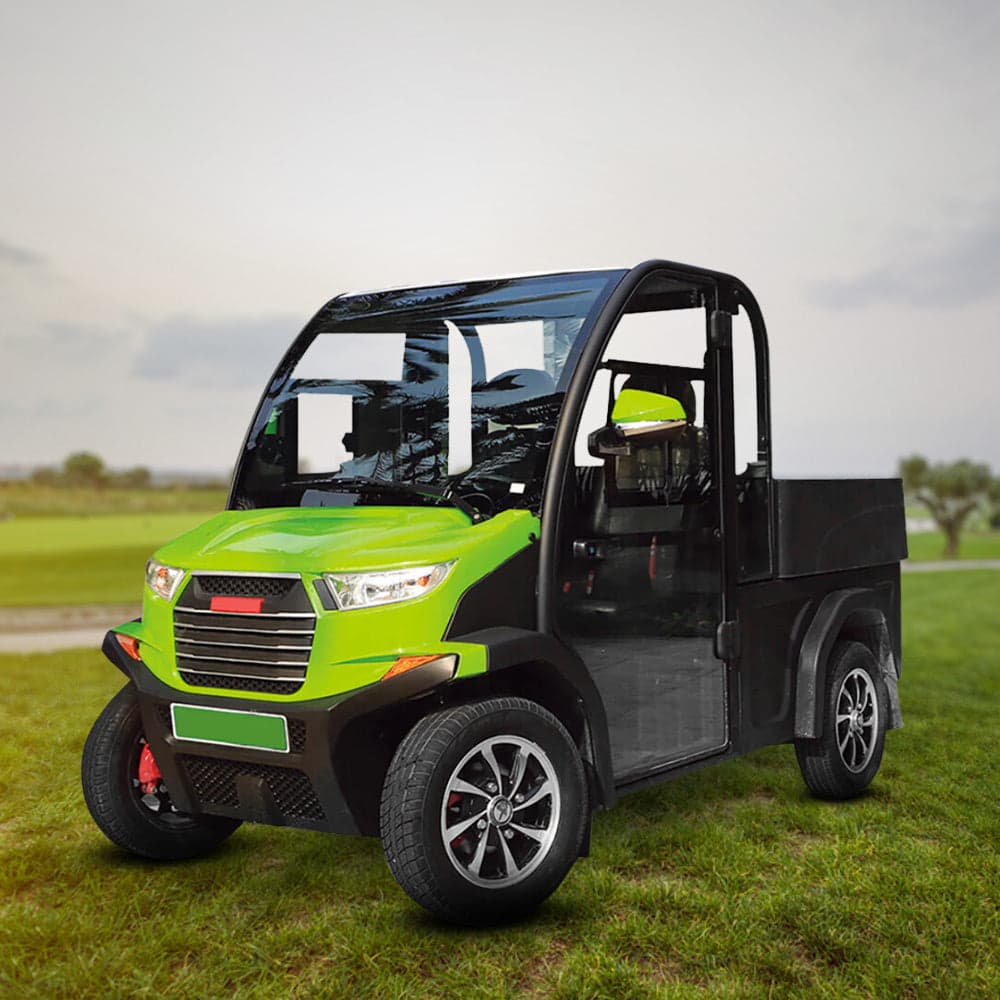 Luxury Electric AC Golf Cart Golf Buggy 2 Seater With Cargo Box for Sightseeing