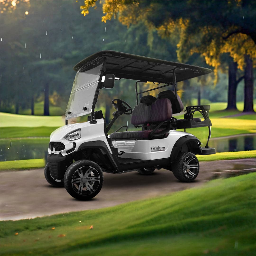 Green Rider Electric Golf Cart 2+2 Seater With Lithium Batteries