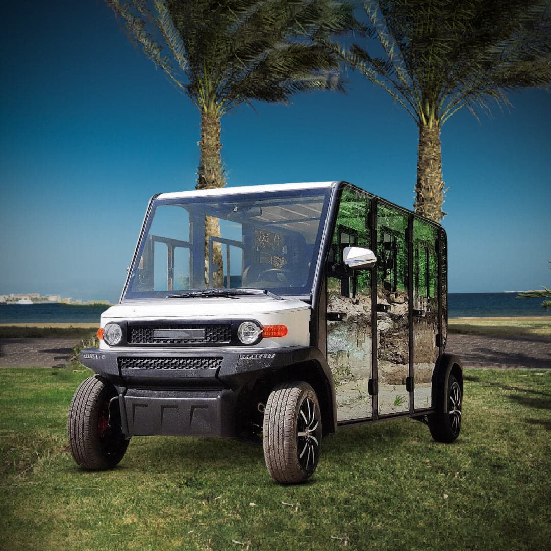 LT AC Golf Car With Enclosed Doors 6 Seater Electric Mini Car