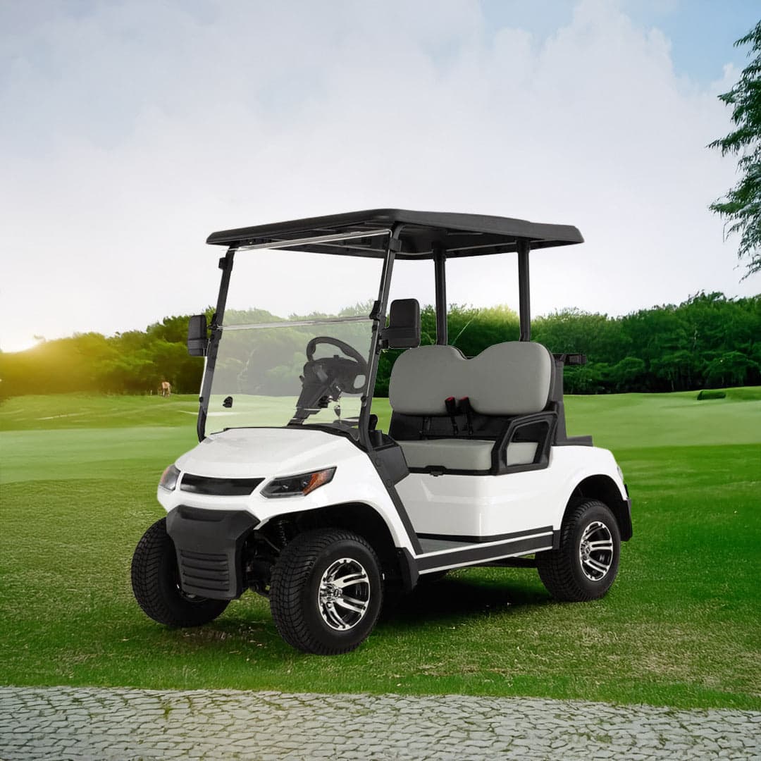 LVT Electric Golf Cart Buggy 2-Seater Experience