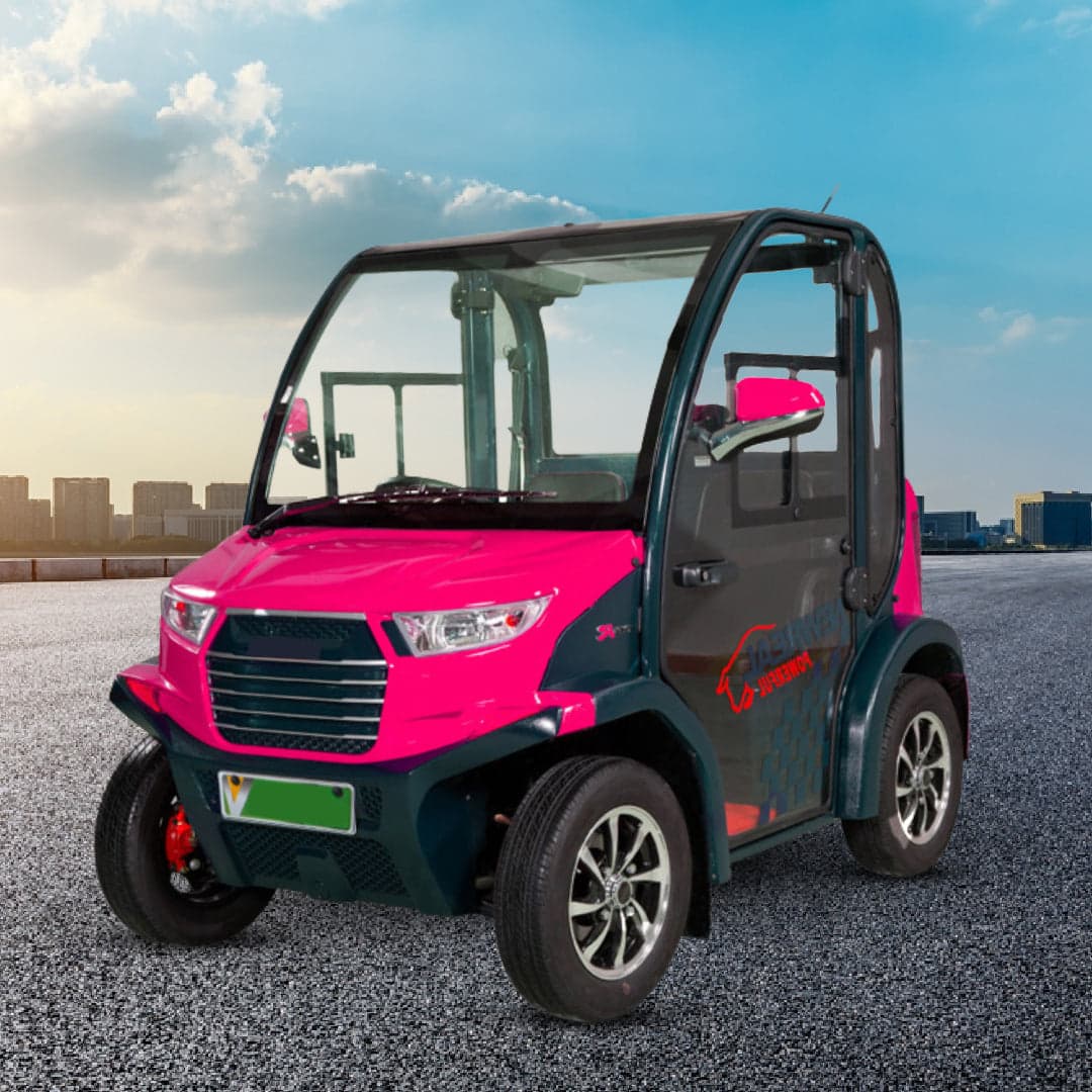Luxury Electric A.C Golf Cart Golf Buggy 2 Seater for Sightseeing