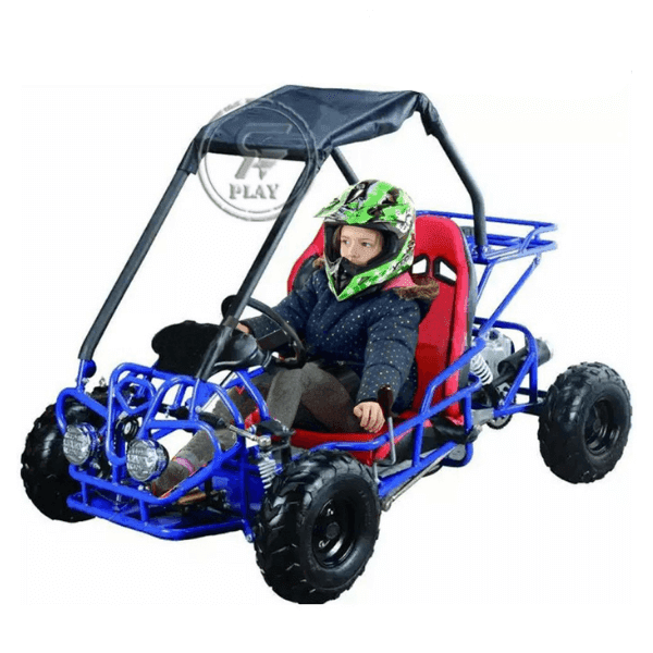 Off Road 110CC Fuel Go Kart Buggy